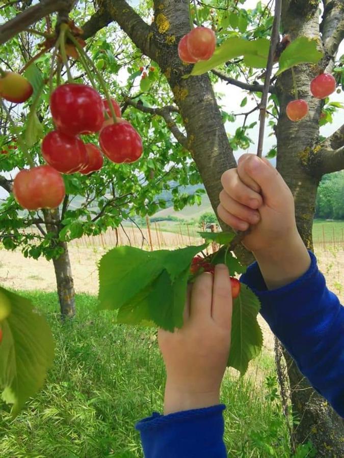 Cassine Cascina Valtignosa Camere Con Vigna מראה חיצוני תמונה