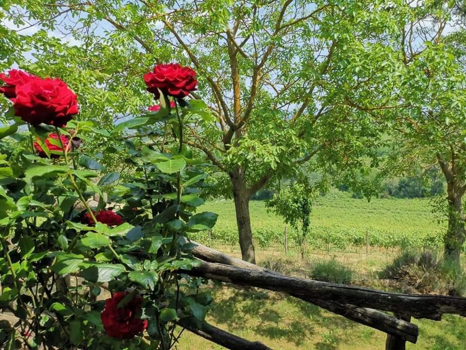 Cassine Cascina Valtignosa Camere Con Vigna מראה חיצוני תמונה