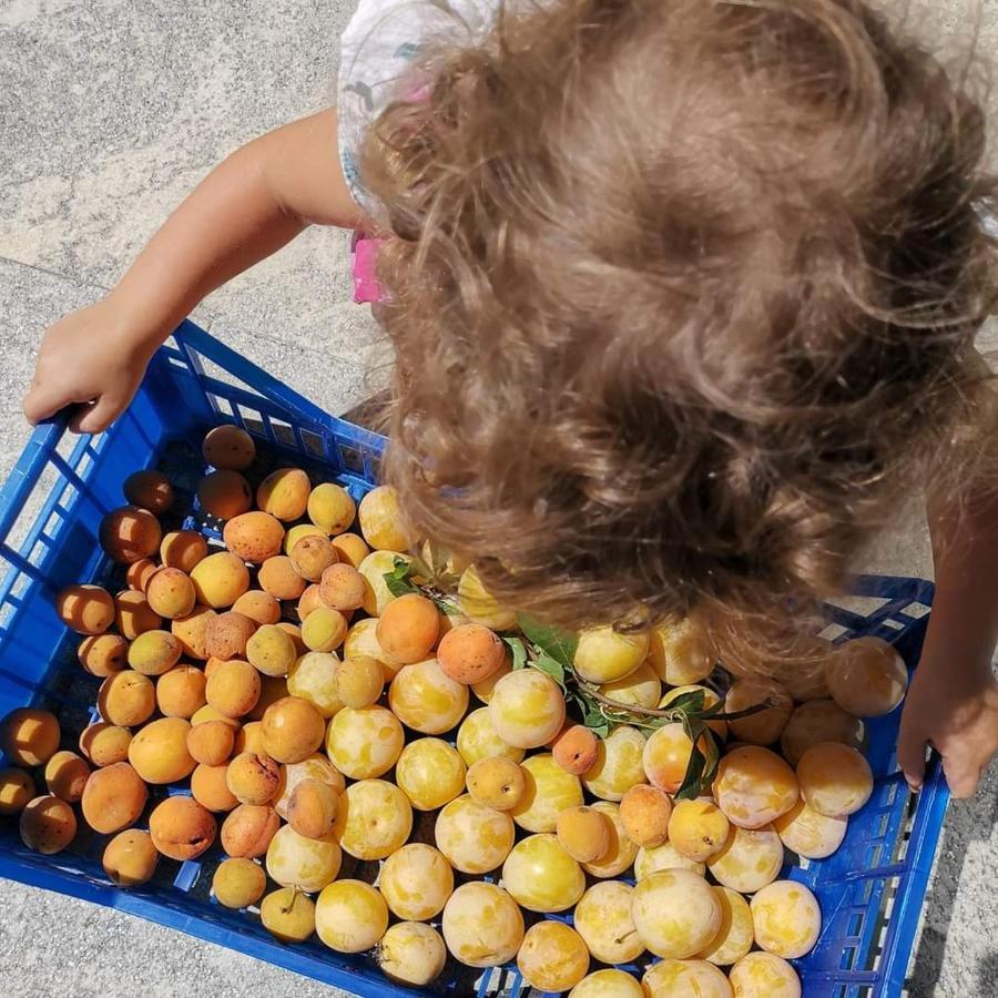 Cassine Cascina Valtignosa Camere Con Vigna מראה חיצוני תמונה