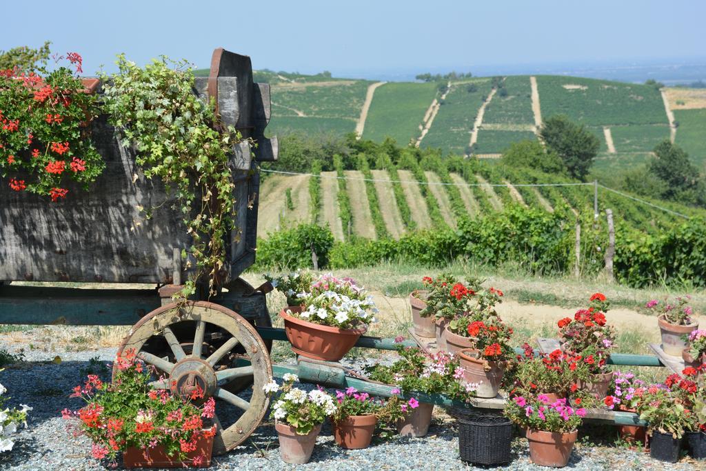 Cassine Cascina Valtignosa Camere Con Vigna מראה חיצוני תמונה